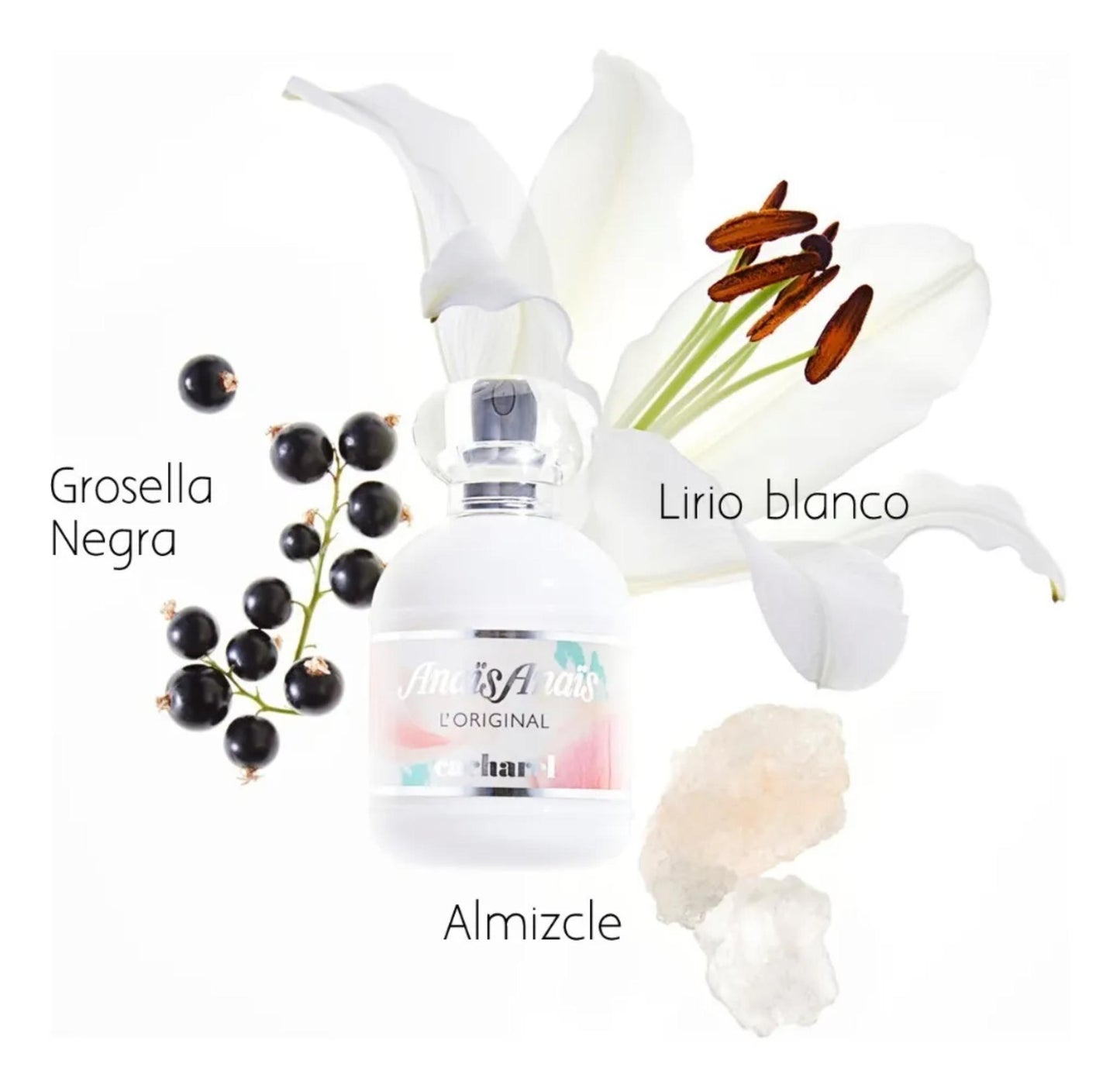 Tradicional Anaïs Anaïs L' Original EDT 100ml – Mujer